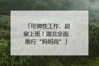 可弹性工作、居家上班！湖北全面推行“妈妈岗”