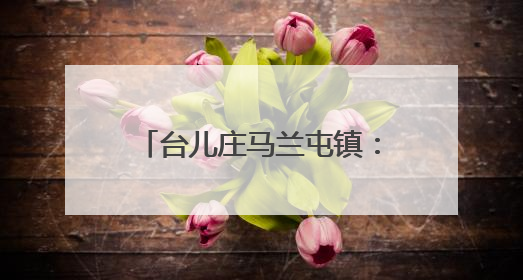 台儿庄马兰屯镇：移风易俗绘新篇 文明新风入人心