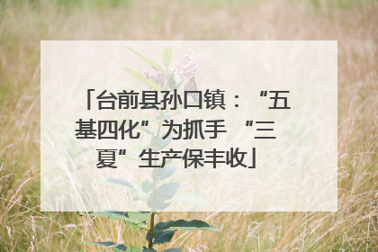 台前县孙口镇：“五基四化”为抓手 “三夏”生产保丰收