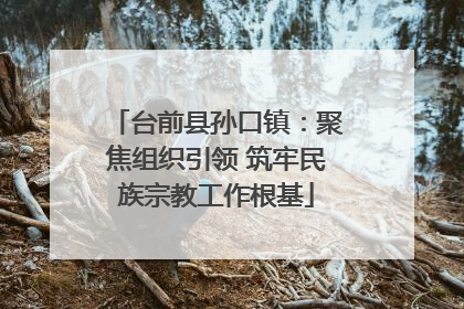 台前县孙口镇：聚焦组织引领 筑牢民族宗教工作根基