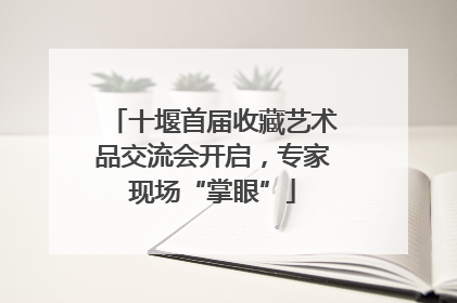 十堰首届收藏艺术品交流会开启，专家现场“掌眼”