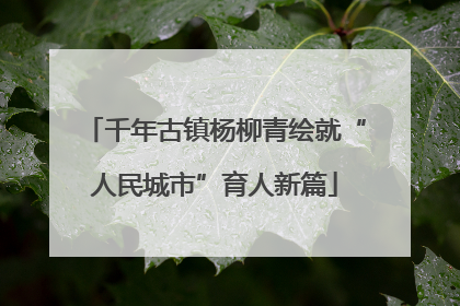 千年古镇杨柳青绘就“人民城市”育人新篇
