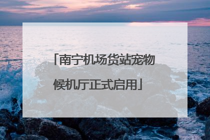 南宁机场货站宠物候机厅正式启用