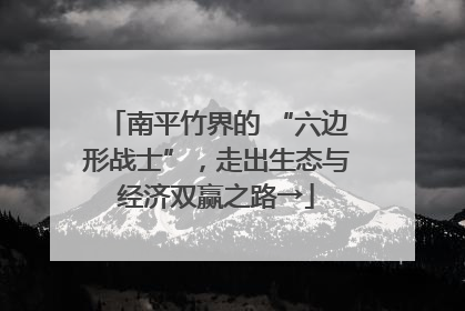 南平竹界的 “六边形战士”，走出生态与经济双赢之路→