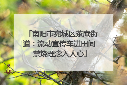 南阳市宛城区茶庵街道：流动宣传车进田间 禁烧理念入人心