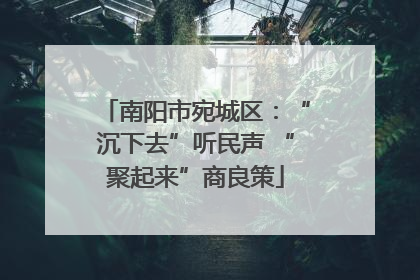 南阳市宛城区：“沉下去”听民声 “聚起来”商良策