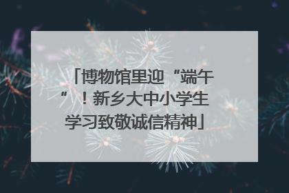 博物馆里迎“端午”！新乡大中小学生学习致敬诚信精神