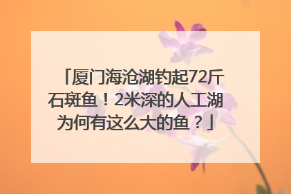 厦门海沧湖钓起72斤石斑鱼！2米深的人工湖为何有这么大的鱼？