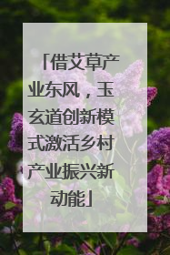 借艾草产业东风，玉玄道创新模式激活乡村产业振兴新动能