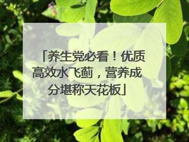 养生党必看！优质高效水飞蓟，营养成分堪称天花板