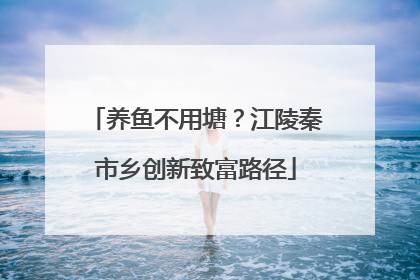 养鱼不用塘？江陵秦市乡创新致富路径