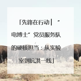 先锋在行动 ▏“电博士”党员服务队的硬核担当：从实验室到抗洪一线