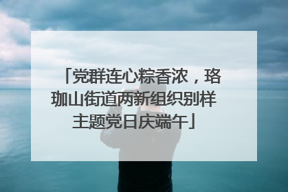党群连心粽香浓，珞珈山街道两新组织别样主题党日庆端午