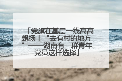 党旗在基层一线高高飘扬丨“去有村的地方”——湖南有一群青年党员这样选择