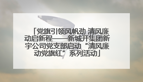 党旗引领风帆劲 清风廉动启新程——新城开集团新宇公司党支部启动“清风廉动党旗红”系列活动