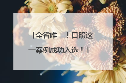 全省唯一！日照这一案例成功入选！