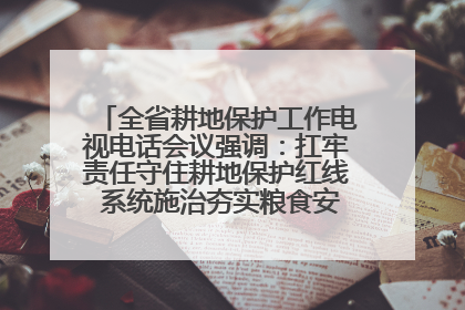 全省耕地保护工作电视电话会议强调：扛牢责任守住耕地保护红线 系统施治夯实粮食安全根基 王宁作出批示 王予波出席并讲话