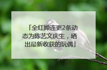 全红婵连更2条动态为陈艺文庆生，晒出最新收获的玩偶