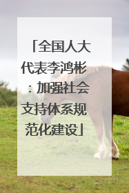 全国人大代表李鸿彬：加强社会支持体系规范化建设