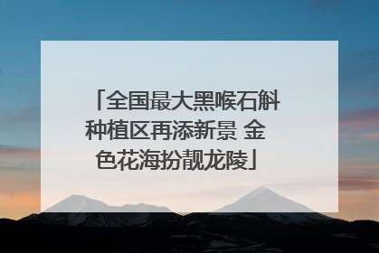 全国最大黑喉石斛种植区再添新景 金色花海扮靓龙陵