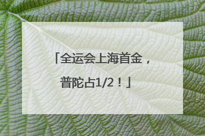 全运会上海首金，普陀占1/2！