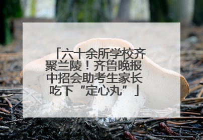 六十余所学校齐聚兰陵！齐鲁晚报中招会助考生家长吃下“定心丸”