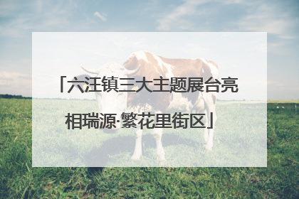 六汪镇三大主题展台亮相瑞源·繁花里街区