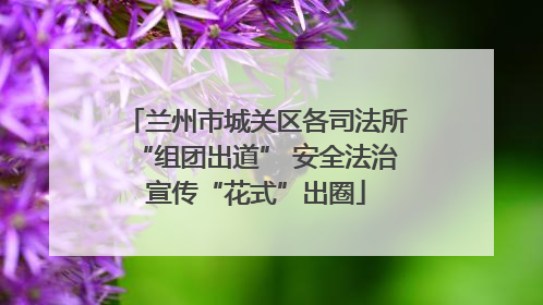 兰州市城关区各司法所“组团出道” 安全法治宣传“花式”出圈