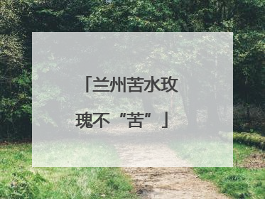 兰州苦水玫瑰不“苦”
