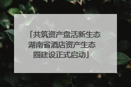 共筑资产盘活新生态 湖南省酒店资产生态圈建设正式启动
