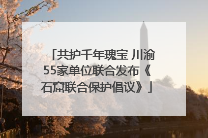 共护千年瑰宝 川渝55家单位联合发布《石窟联合保护倡议》