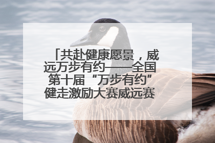 共赴健康愿景，威远万步有约——全国第十届“万步有约”健走激励大赛威远赛区启动仪式