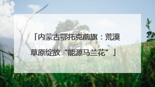 内蒙古鄂托克前旗：荒漠草原绽放“能源马兰花”