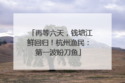 再等六天，钱塘江鲜回归！杭州渔民：第一波盼刀鱼