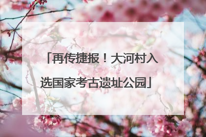 再传捷报！大河村入选国家考古遗址公园