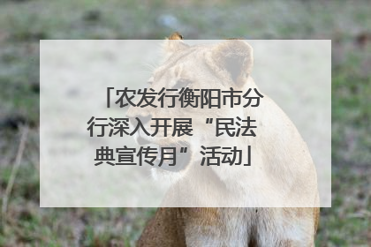 农发行衡阳市分行深入开展“民法典宣传月”活动