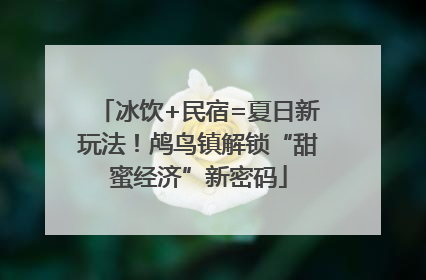 冰饮+民宿=夏日新玩法！鸬鸟镇解锁“甜蜜经济”新密码