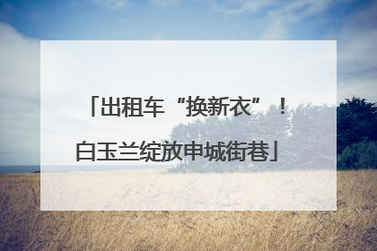 出租车“换新衣”！白玉兰绽放申城街巷