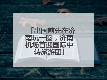出国前先在济南玩一圈,济南机场首迎国际中转旅游团