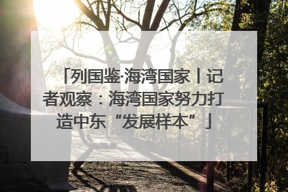 列国鉴·海湾国家丨记者观察：海湾国家努力打造中东“发展样本”
