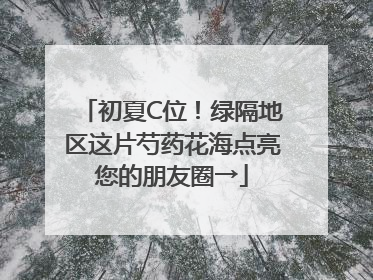 初夏C位！绿隔地区这片芍药花海点亮您的朋友圈→