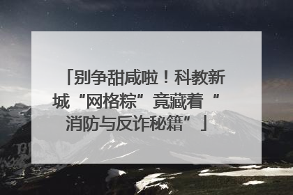 别争甜咸啦！科教新城“网格粽”竟藏着“消防与反诈秘籍”