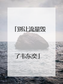 别让流量毁了韦东奕