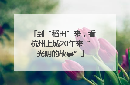 到“稻田”来，看杭州上城20年来“光阴的故事”