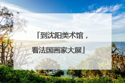 到沈阳美术馆，看法国画家大展