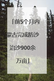 前5个月内蒙古完成防沙治沙900余万亩