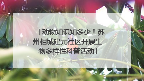 动物知识知多少！苏州相城建元社区开展生物多样性科普活动