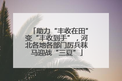 助力“丰收在田”变“丰收到手”，河北各地各部门厉兵秣马迎战“三夏”