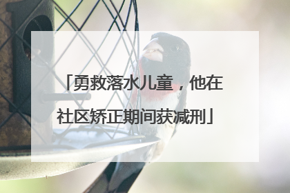 勇救落水儿童，他在社区矫正期间获减刑