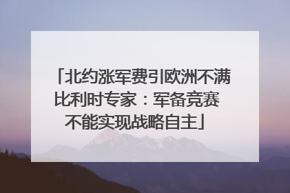 北约涨军费引欧洲不满 比利时专家：军备竞赛不能实现战略自主